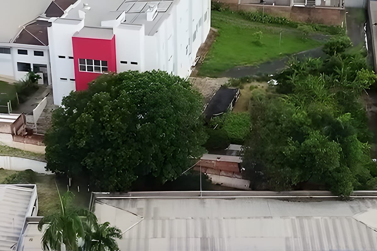 Vista aérea de um prédio de um andar com telhado metálico, cercado de árvores, ao lado de uma rua com carros