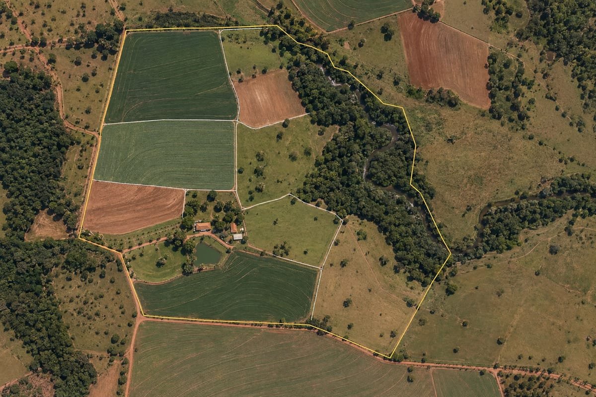 Vista aérea de uma propriedade rural com lavouras, pasto e mata, contornada por uma linha amarela